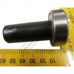 BV091